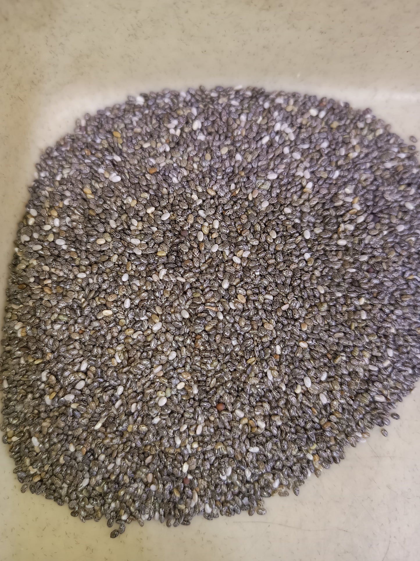 Raw&Unsalted Chia Seeds