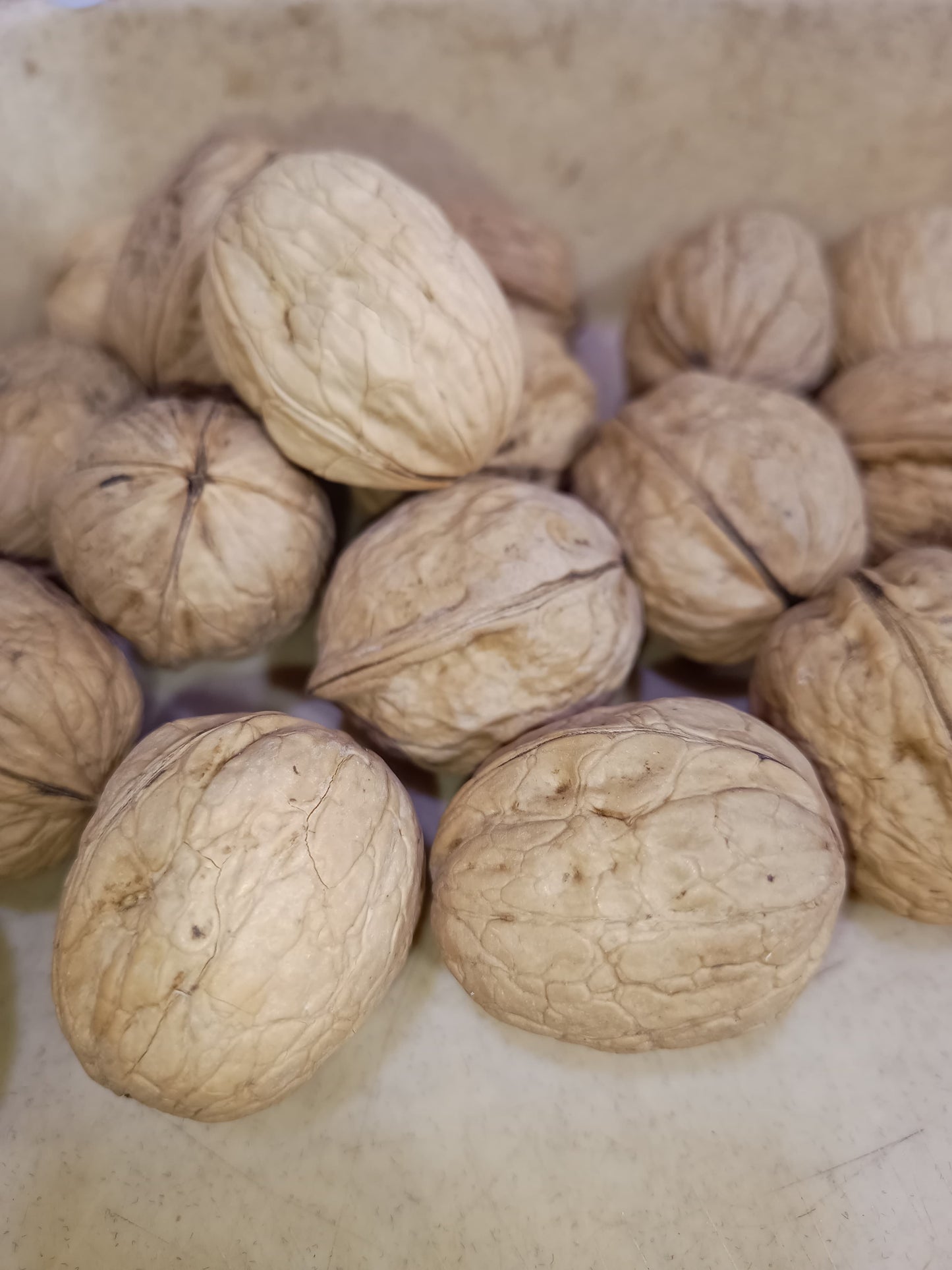 Premium Whole Walnuts