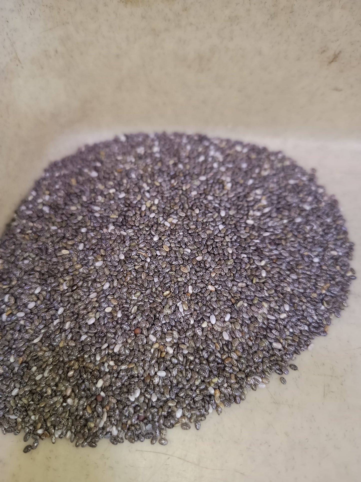 Raw Basil (Sabja) Seeds