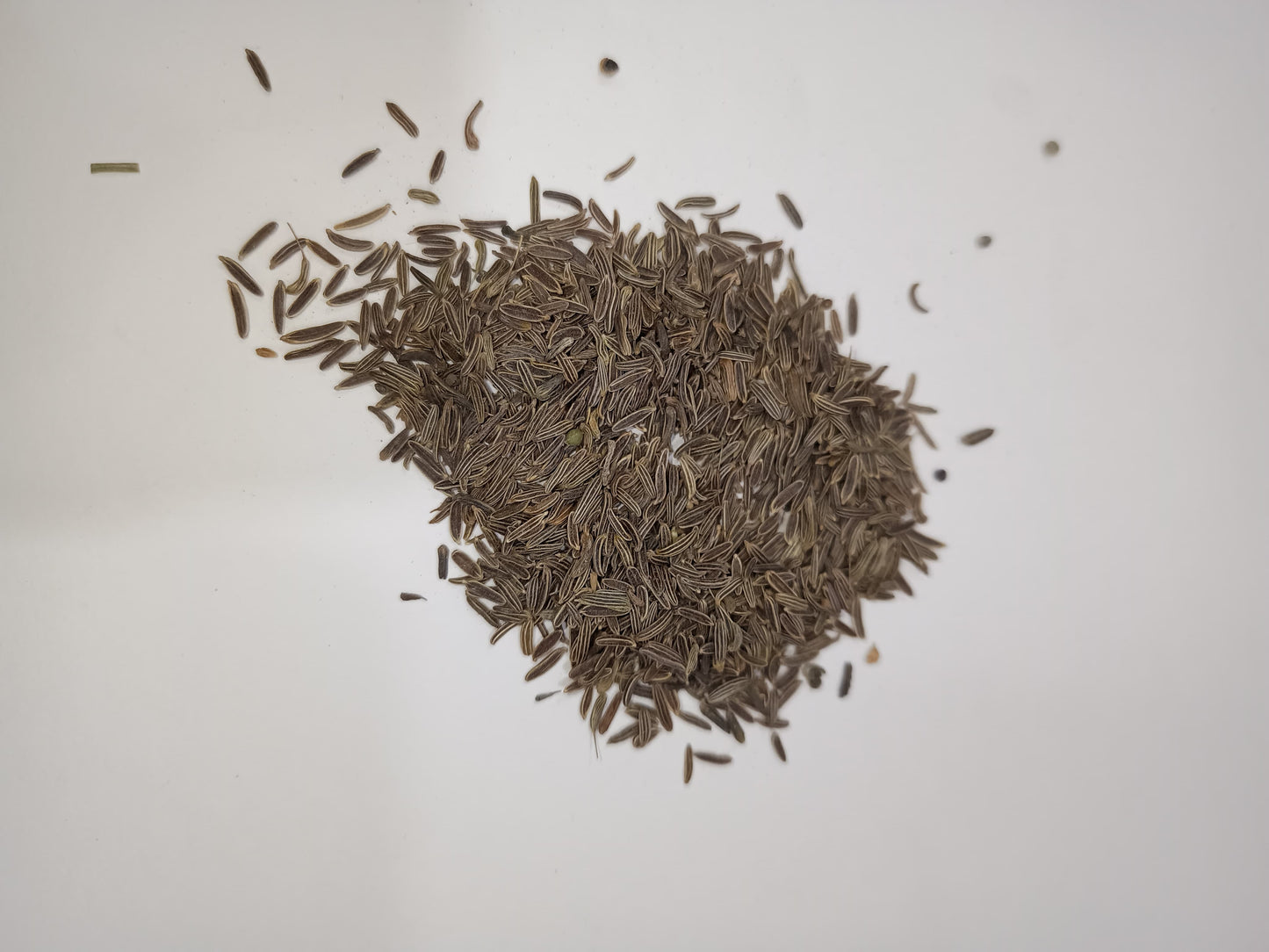 Cumin seeds