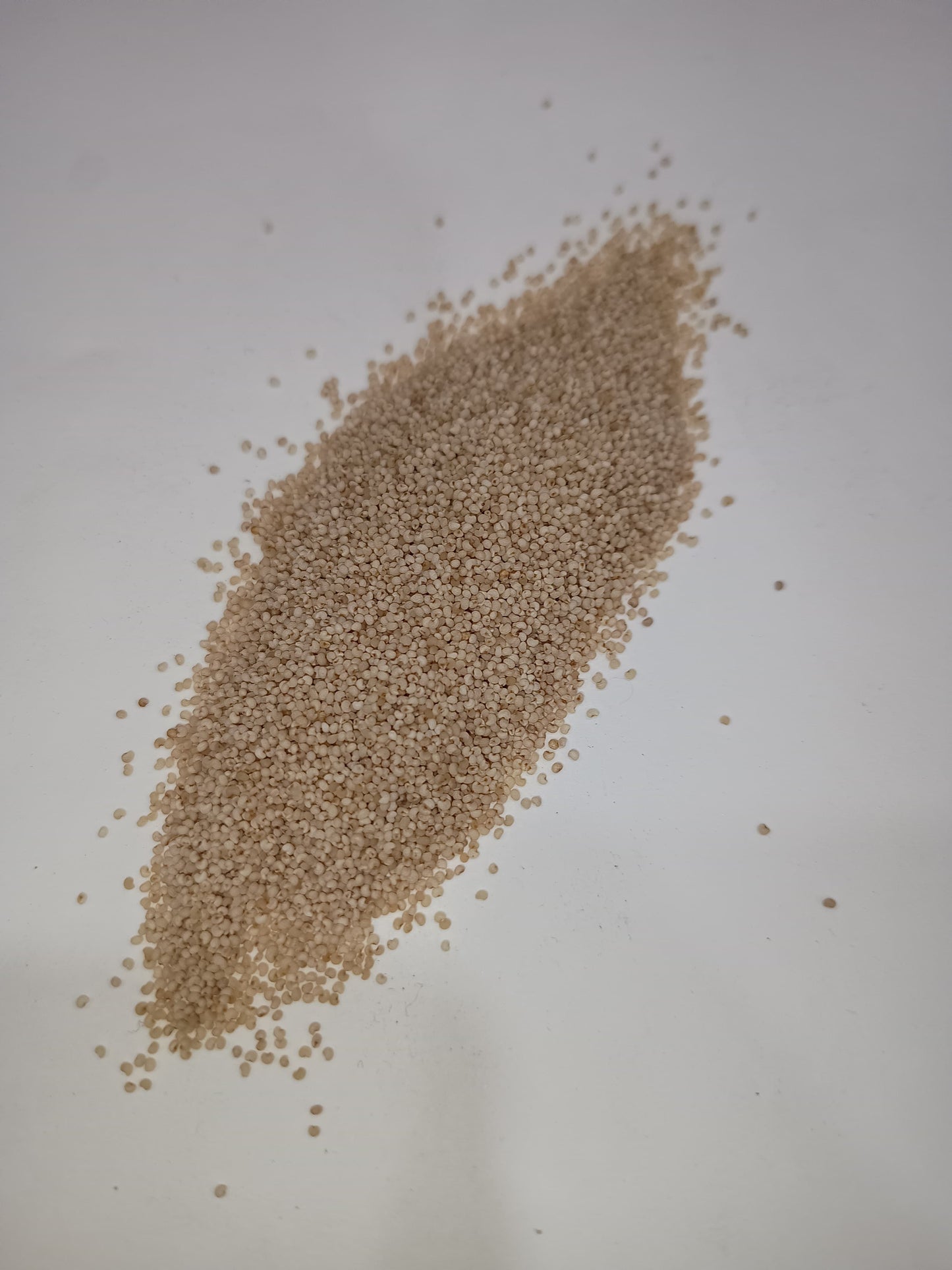 Poppy seeds(khas-khas)