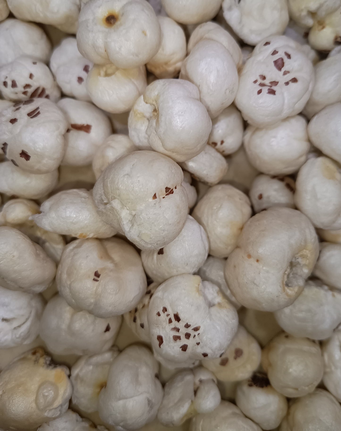 Foxnut(makhana)