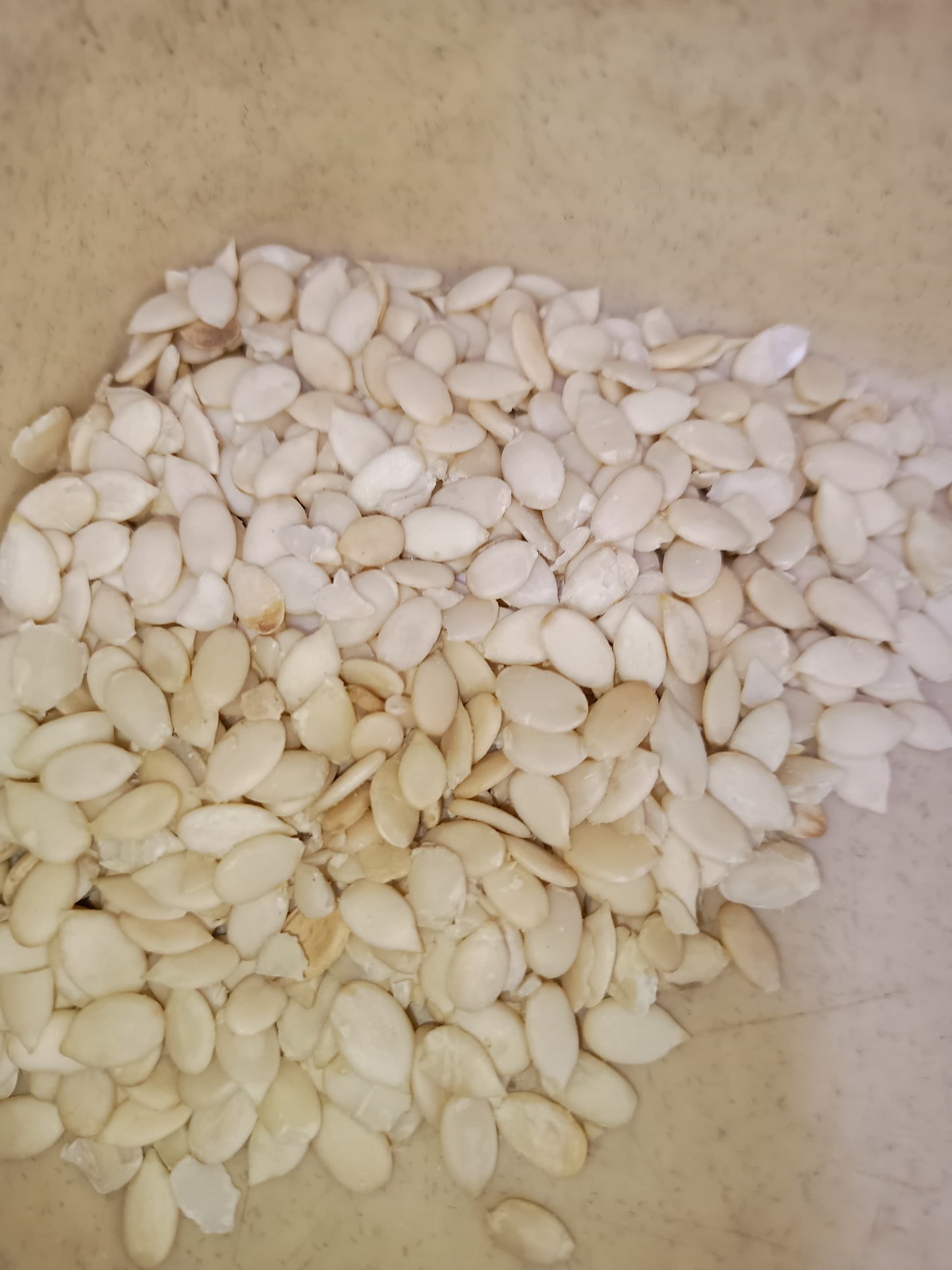Premium Muskmelon Seeds (Raw & Shelled)