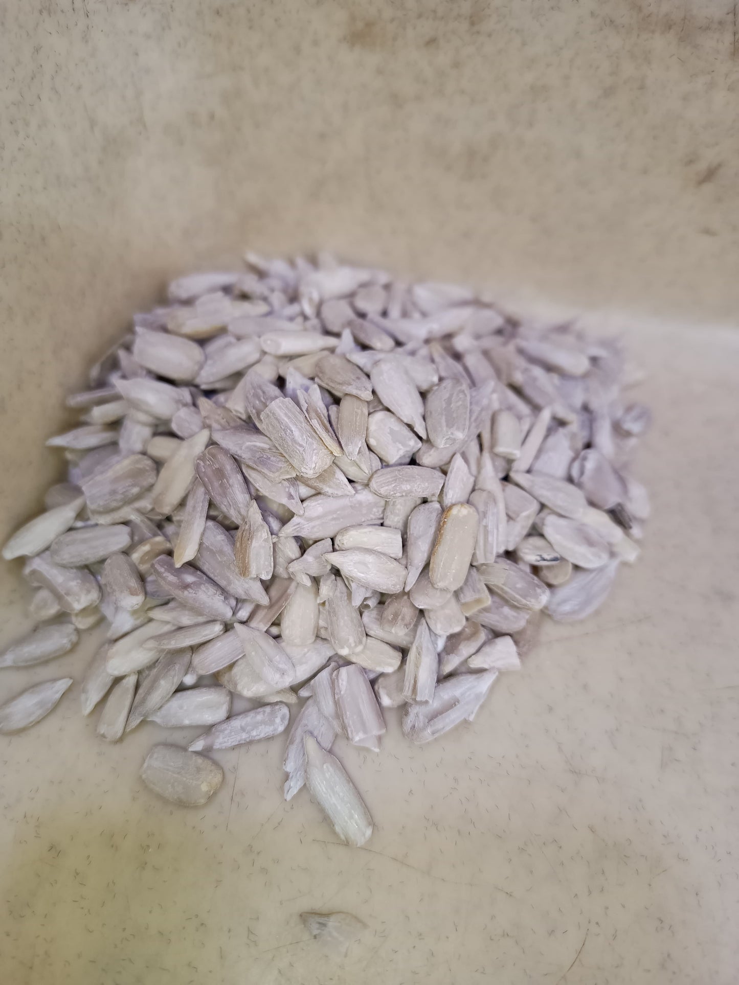 Roasted & Unsalted Sunflower Seeds